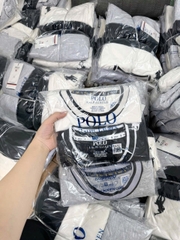 SÉT 3 ÁO PHÔNG POLO XUẤT CHO NAM