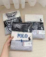 SÉT 3 ÁO PHÔNG POLO XUẤT CHO NAM