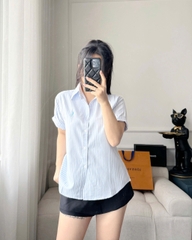 ÁO SƠ MI NỮ CỘC TAY POLO THÊU NGỰA