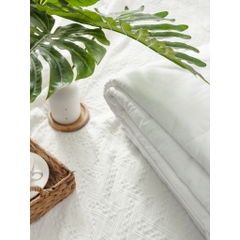Ruột Chăn Hè Cao Cấp 2m2x2m