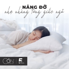 Ruột Gối Nằm Gòn Bi Kích Thước 50x70 cm