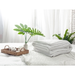 Ruột Chăn Hè Cao Cấp 2m2x2m