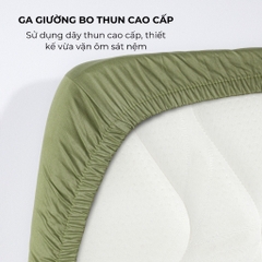 [Vibrant] Bộ Ga Gối Cotton 100% Phong Cách Nổi Bật