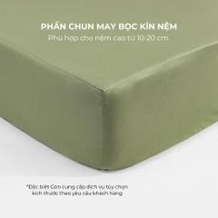 [Vibrant] Bộ Ga Gối Cotton 100% Phong Cách Nổi Bật