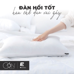 Ruột Gối Nằm Gòn Bi Kích Thước 50x70 cm