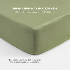[Pastel] Bộ Ga Gối Cotton 100% Phong Cách Nhẹ Nhàng