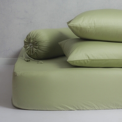 [Vibrant] Bộ Ga Gối Cotton 100% Phong Cách Nổi Bật