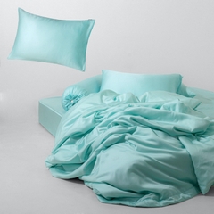 [Pastel] Bộ Chăn Ga Gối Lụa Tencel Phong Cách Nhẹ Nhàng