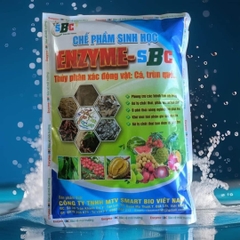 ENZYME THỦY PHÂN
