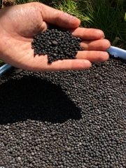 ĐẠM CÁ HUMIC