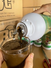 DỊCH TRÙN QUẾ CÔ ĐẶC