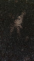 ĐẠM CÁ HUMIC