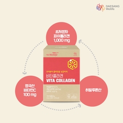 Collagen Supplement Powder Daesang Wellife Make me Vita Collagen 2gx30 pack