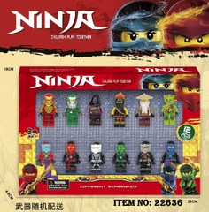 22636  HỘP 12T NINJA GO