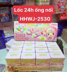 HHWJ-2530 LỐC 24 HỘP RÁP ỐNG NỐI
