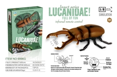 9996G  HỘP BỌ CÁNH CỨNG ĐIỀU KHIỂN, KHÔNG SẠC