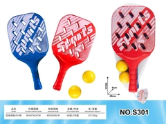 S301  LƯỚI VỢT PICKLEBALL 2C + 2 BANH