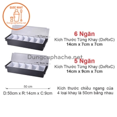 Hộp nhựa đựng topping 6 ngăn - T12 -K