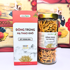 Đông trùng hạ thảo khô 50g - Hũ thủy tinh