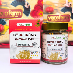 Đông trùng hạ thảo khô 10g - Hũ thủy tinh