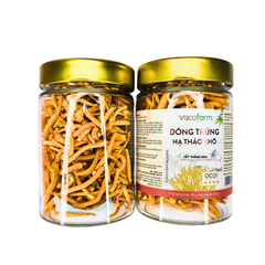Đông trùng hạ thảo khô 30g - Hũ thủy tinh