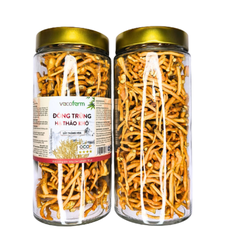 Đông trùng hạ thảo khô 50g - Hũ thủy tinh