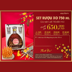 Hộp rượu gỗ XO 750ml + 2 ly