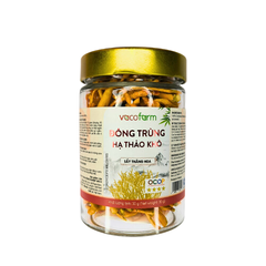 Đông trùng hạ thảo khô 10g - Hũ thủy tinh