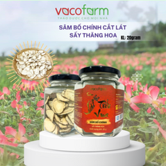 Hộp quà ĐÔNG TRÙNG TIẾN VUA VIP 02