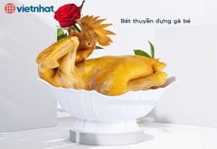 Bộ bát thuyền đựng gà, bát gà cúng lễ To 6815  Nhựa Việt Nhật Shop