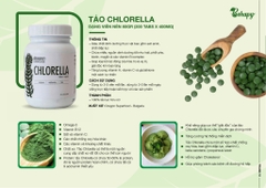Viên tảo Chlorella Hữu cơ 80gr - Dragon