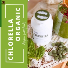 Viên tảo Chlorella Hữu cơ 80gr - Dragon