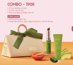 Set Son Cỏ cây hoa lá - Không màu