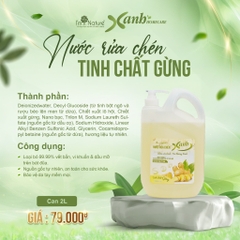 Nước rửa chén gừng Xanh Homecare 2 Lít