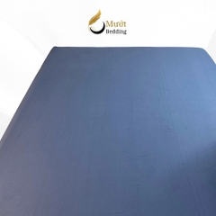 Ga giường lẻ Lụa Tencel Mướt bedding cao cấp đầy đủ size bo chun, chất liệu cao cấp, mềm, thoáng mát