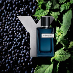 Nước Hoa Nam Yves Saint Laurent Y Eau De Parfum Intense