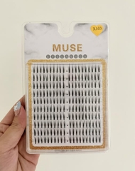 Lông Mi Giả Tách Sợi Mi Chùm Muse