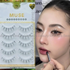 Lông Mi Giả Gân Trong Muse