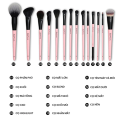 Bộ Cọ Make Up Cá Nhân  MUAs Beauty 14 Cây Thân Hồng