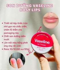 Sáp Dưỡng Môi Vaseline Lip Therapy Rosy Lip