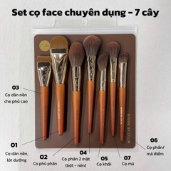 Set Cọ Phủ Celin Missie 7 Cây