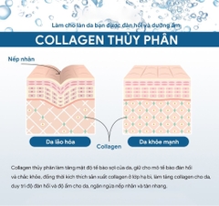 Kem Nền Collagen Ultra X10 Enough Foundation SPF50 100ml
