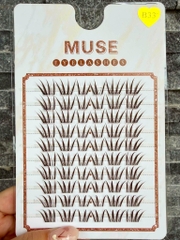 (Mi Nâu)Lông Mi Giả Mi Chùm Muse
