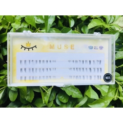 Lông Mi Giả Tách Sợi Mi Chùm Muse