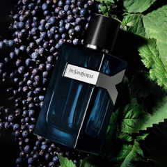 Nước Hoa Nam Yves Saint Laurent Y EDP Intense