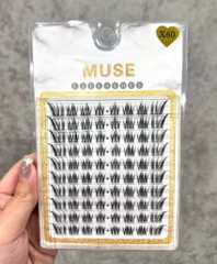 Lông Mi Giả Tách Sợi Mi Chùm Muse