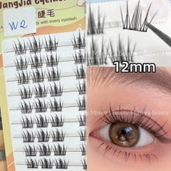 Lông Mi Giả  Lông Mi Chùm WangJia