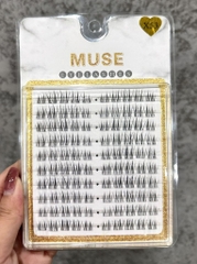 Lông Mi Giả Tách Sợi Mi Chùm Muse