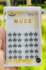 Lông Mi Giả Tách Sợi Mi Chùm Muse