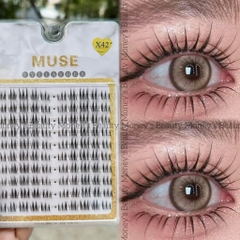 Lông Mi Giả Tách Sợi Mi Chùm Muse